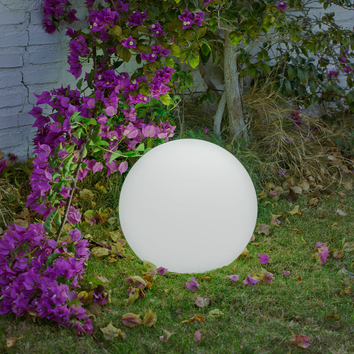 BOLA ILUMINADA BULY (MÚLTIPLES TAMAÑOS) - Image 15