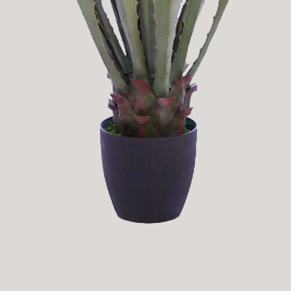 CACTUS AGAVE CON MACETA 103CM - Image 3