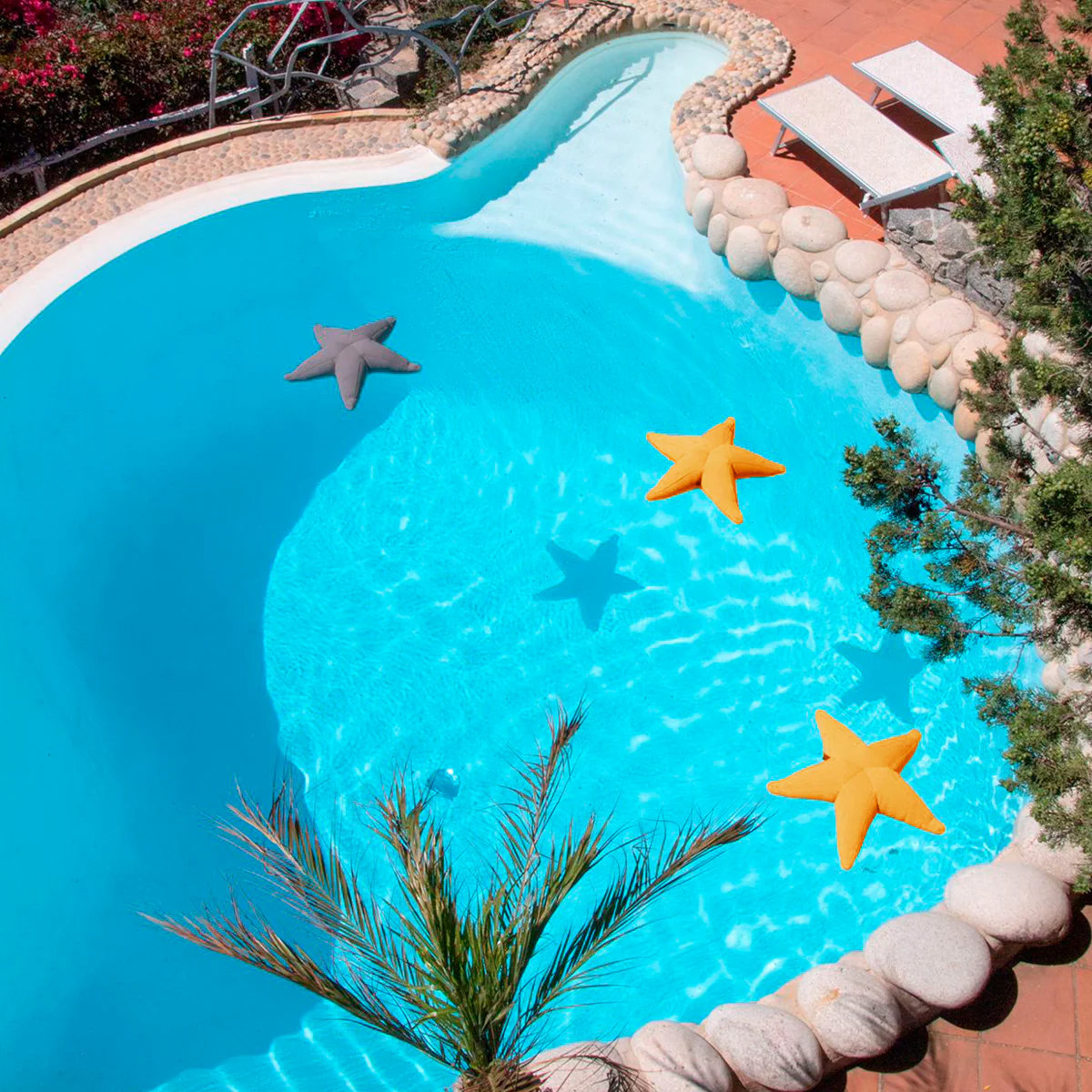 Estrella flotante Starfish - Image 3