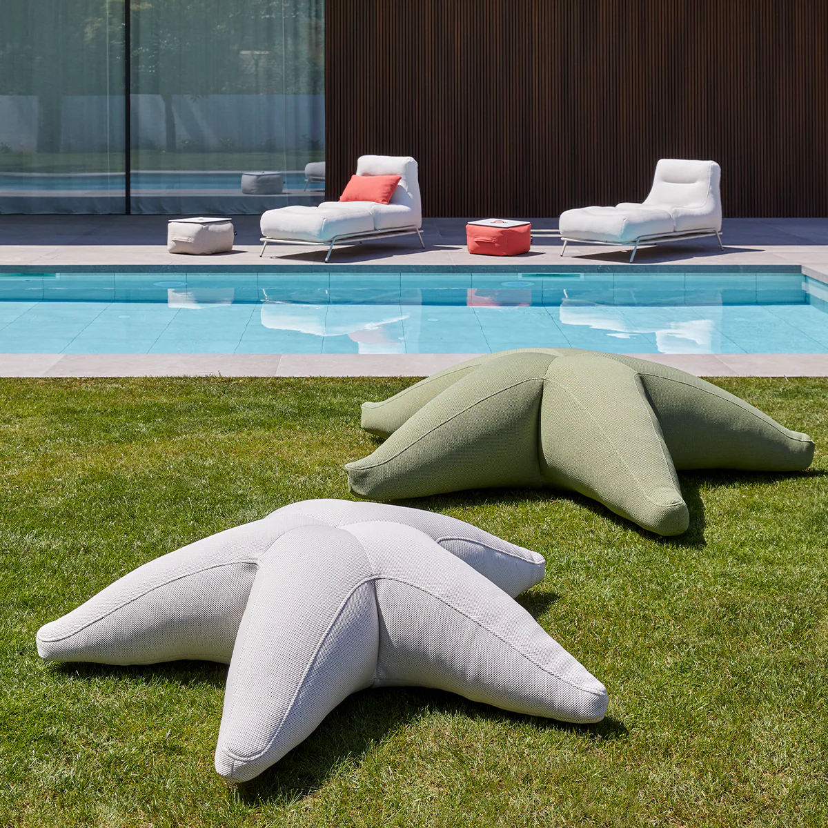 Estrella flotante Starfish - Image 6