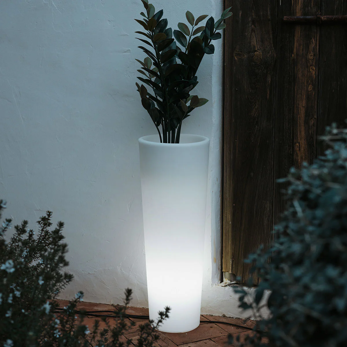 Macetero redondo con luz FICUS 80