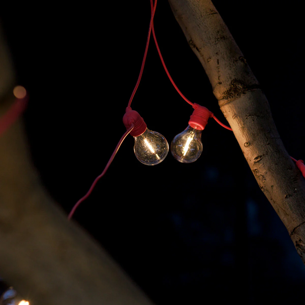 GUIRNALDA DE LUCES ALLEGRA ROSA - Image 5