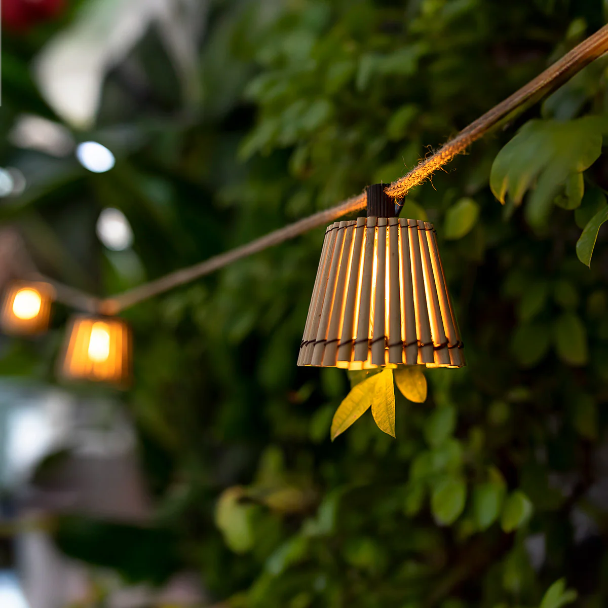 GUIRNALDA DE LUCES OKINAWA - Image 4