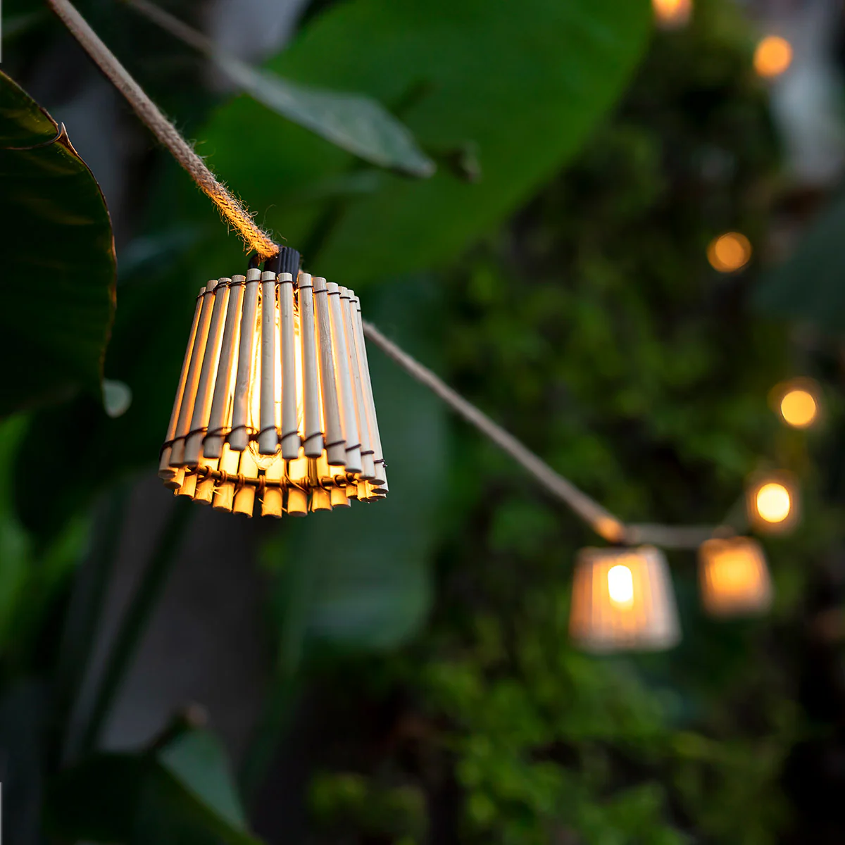 GUIRNALDA DE LUCES OKINAWA - Image 6