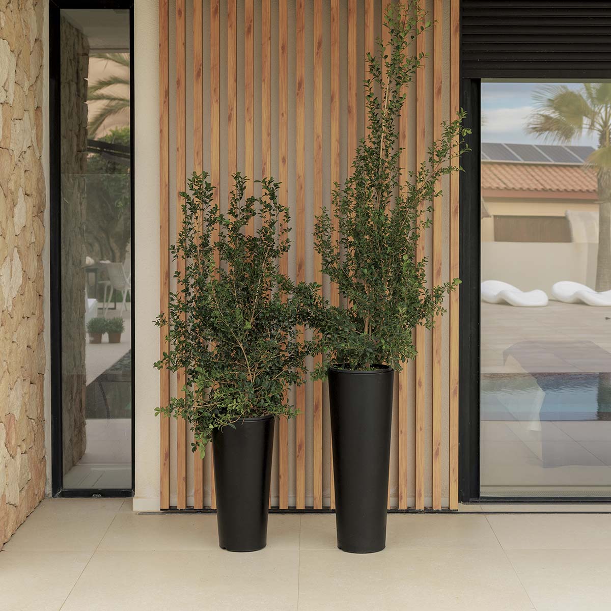 Macetero redondo FICUS 60 - Image 3