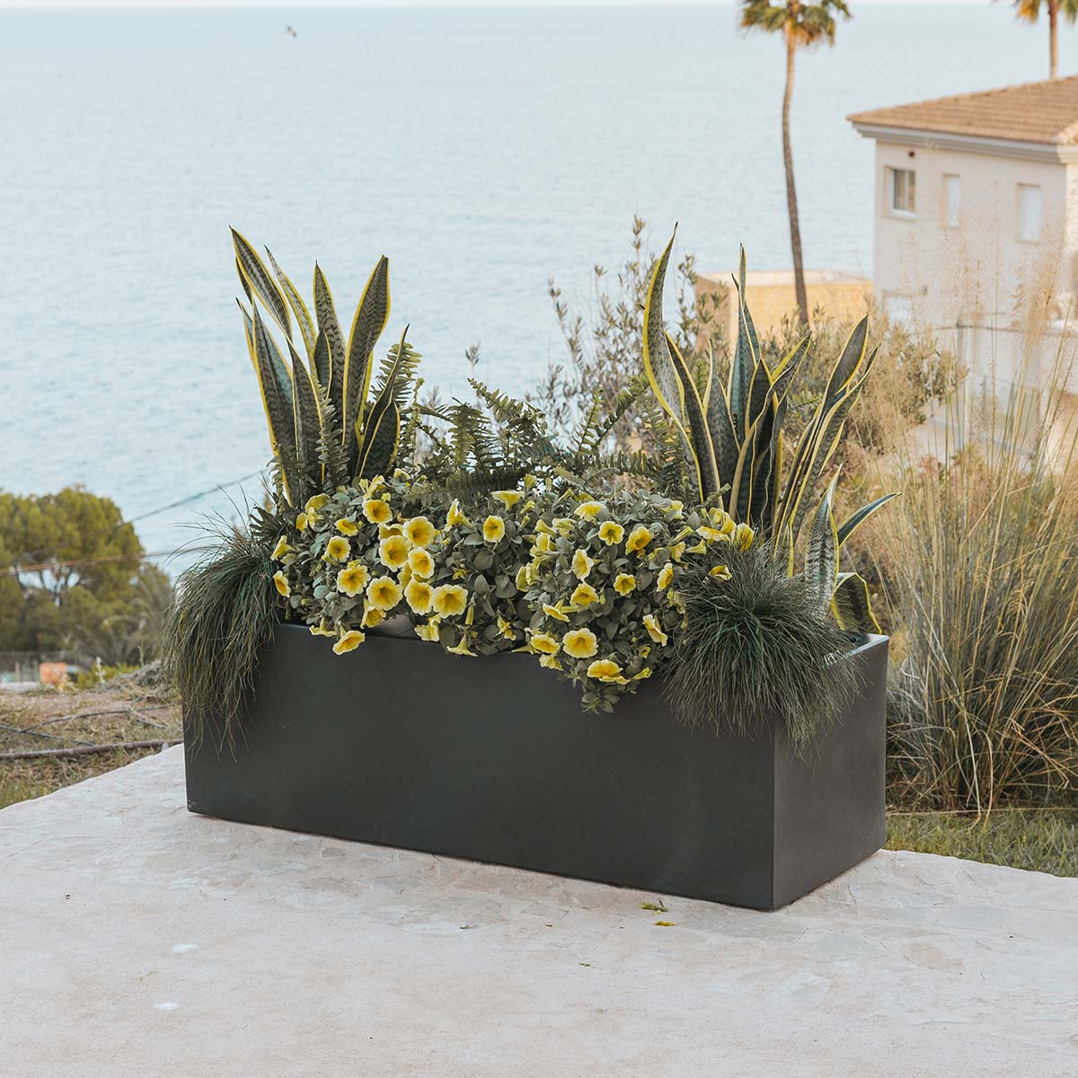 Macetero rectangular JARA 100 x 35 - Image 9
