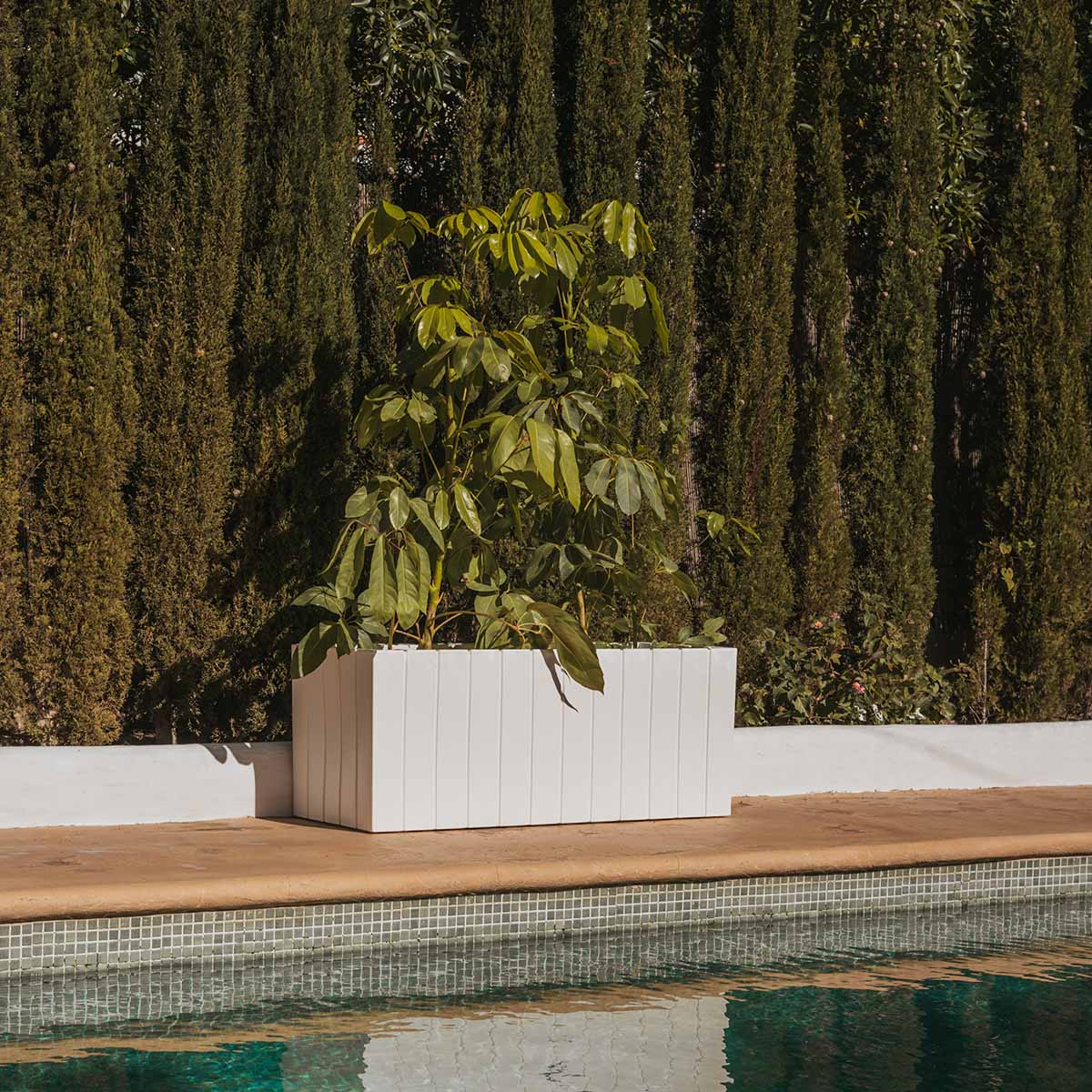 Macetero rectangular OLIVO LARGE - Image 4