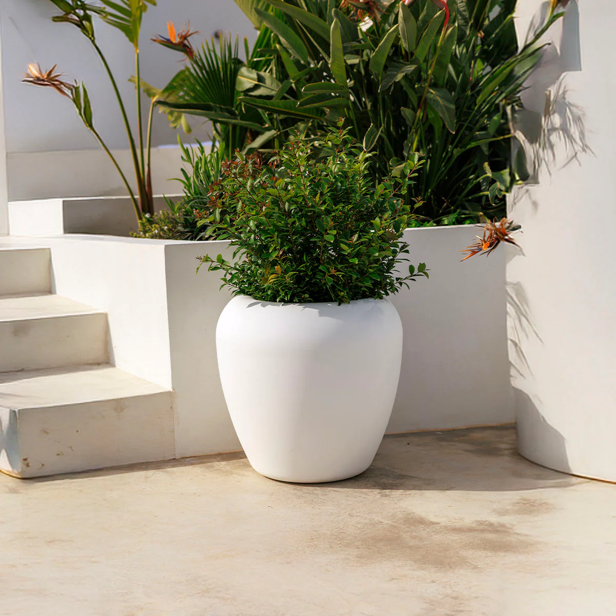 Macetero redondo ARECA 60