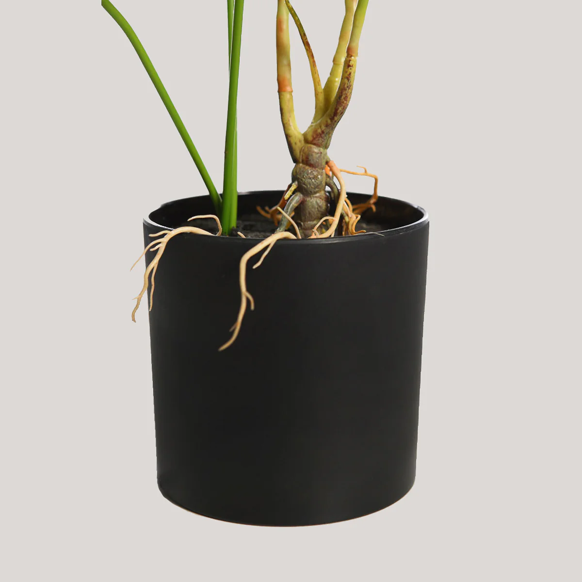 MONSTERA ARTIFICIAL EN MACETA 70CM - Image 3