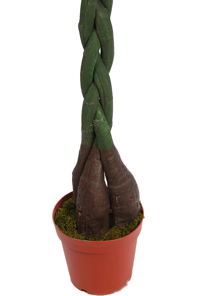 PACHIRA ARTIFICIAL CON MACETA 150CM - Image 3