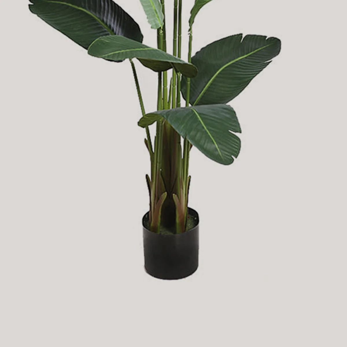 PLATANERA ARTIFICIAL 155 CM - Image 2