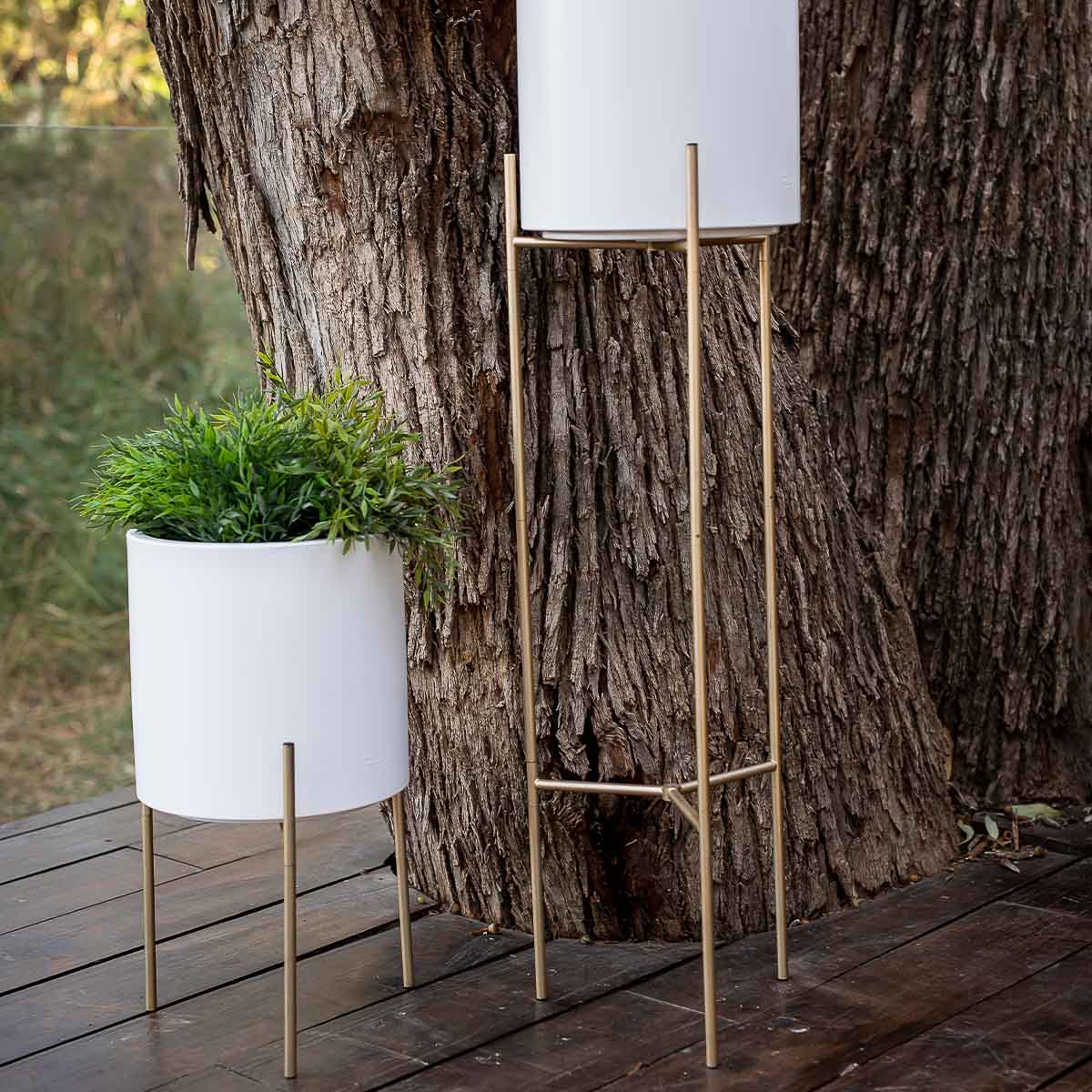 MACETERO DE PIE: SOPORTE LIFT + HORTENSIA 30 BLANCO - Image 2